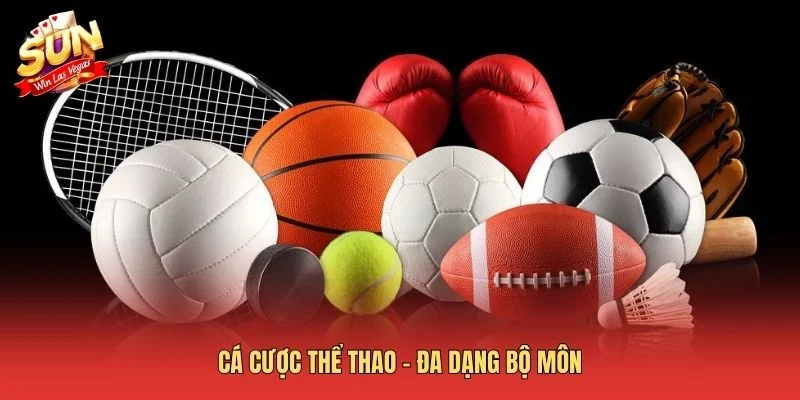 Sunwin ⭐️ Link Tải Cổng Game Sun win Quốc Tế Uy Tín 2026 Cá cược thể thao - Đa dạng bộ môn